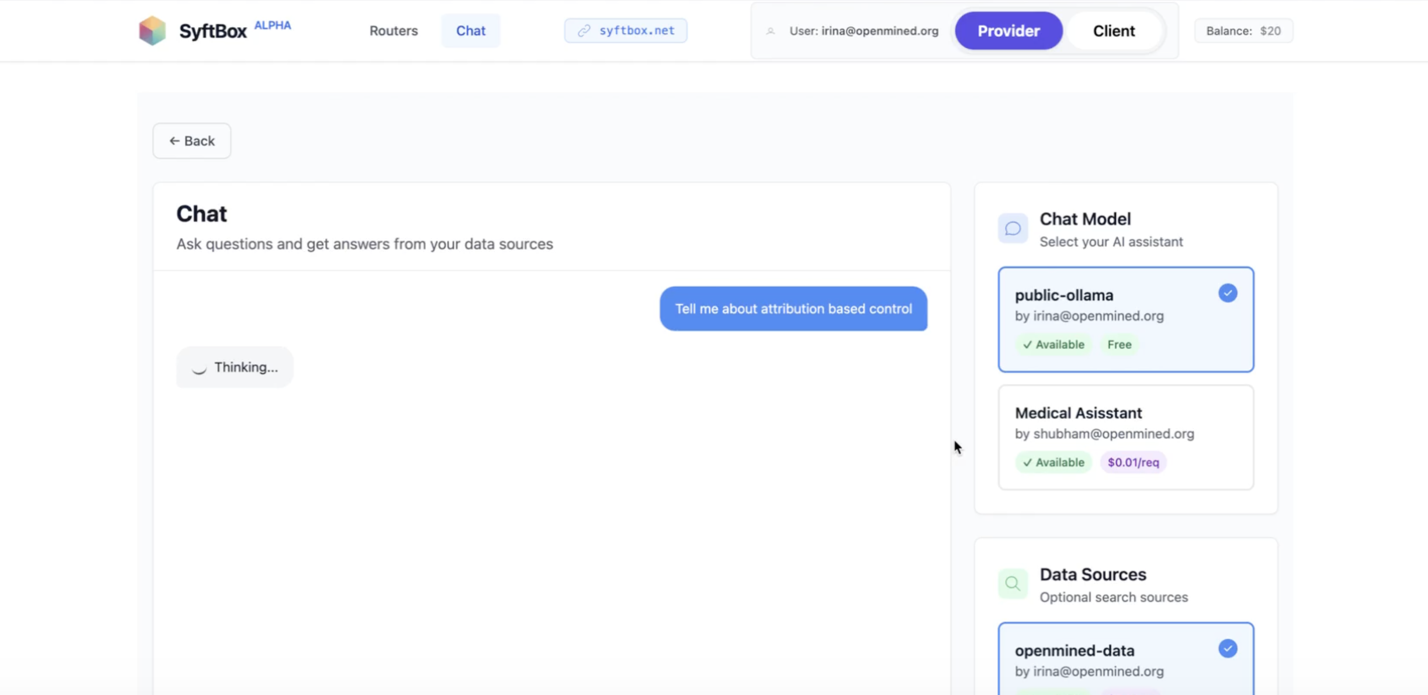 Try it out interface